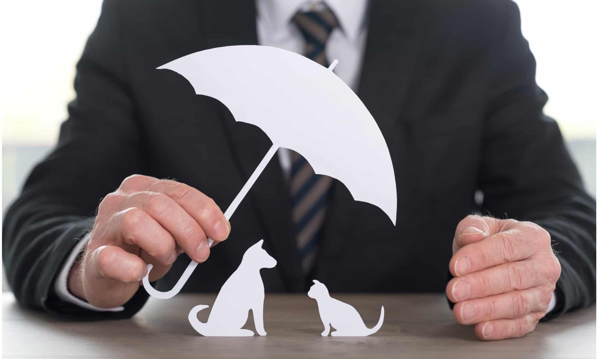 Cosa copre l'assicurazione per animali domestici?