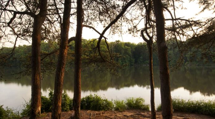 7 Best Lakes in (and Near) Charlotte North Carolina