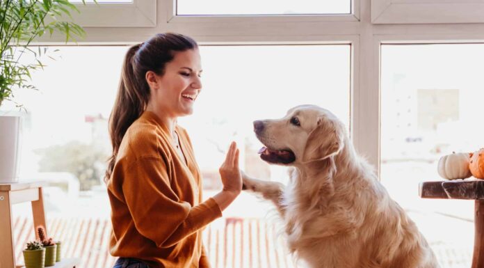  Perché i cani non possono parlare?  Parleranno mai?
