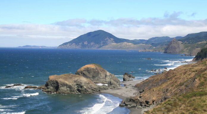 Scopri l'onda più grande mai surfata
