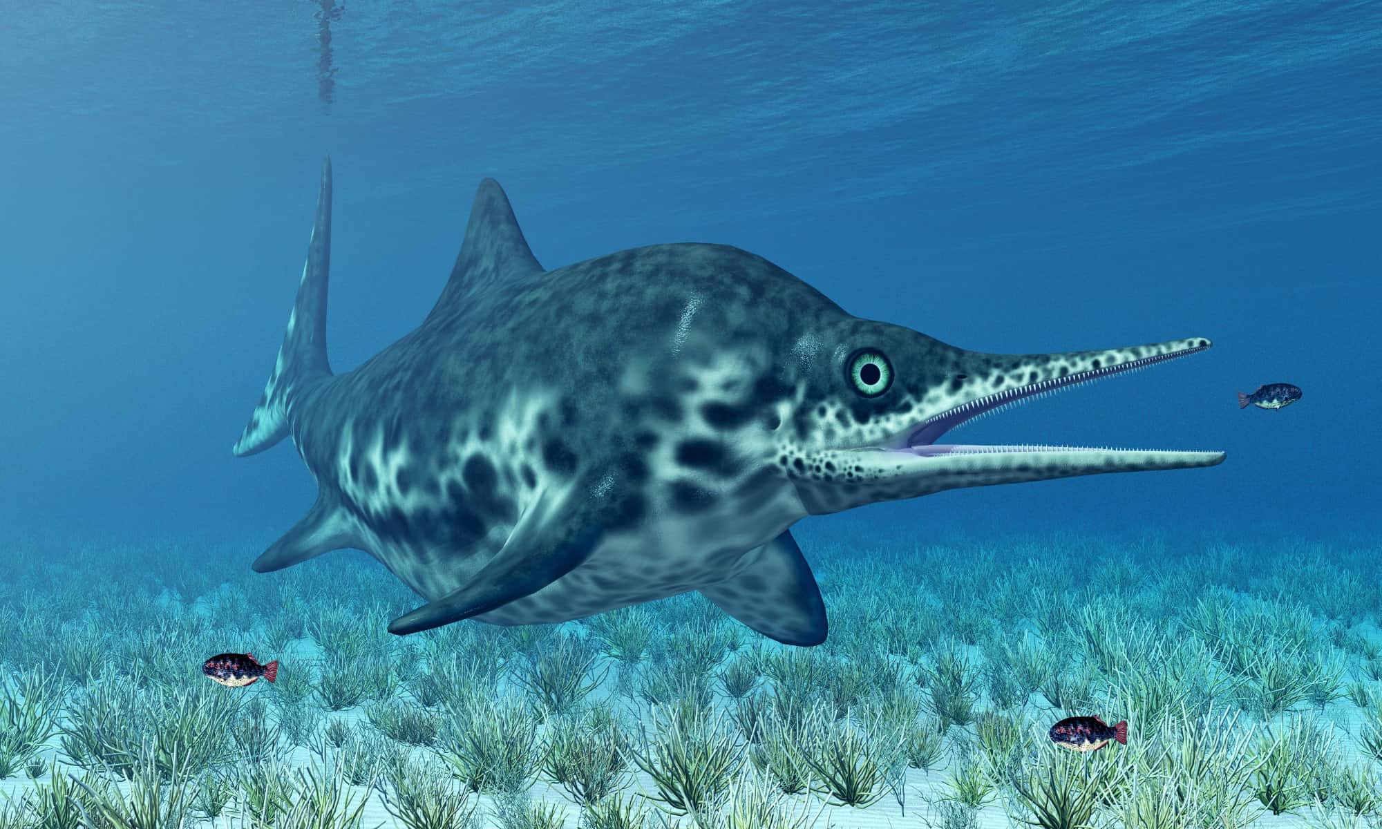 ichthyosaurs were the largest sea "dinosaurs" in history