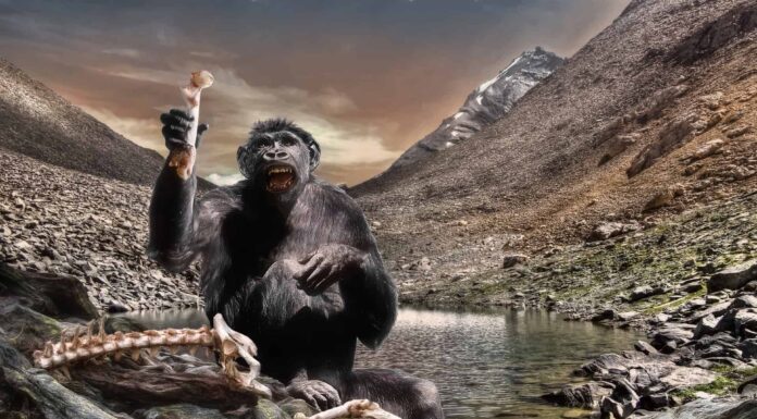 Questo antico animale non era umano, ma era vicino
