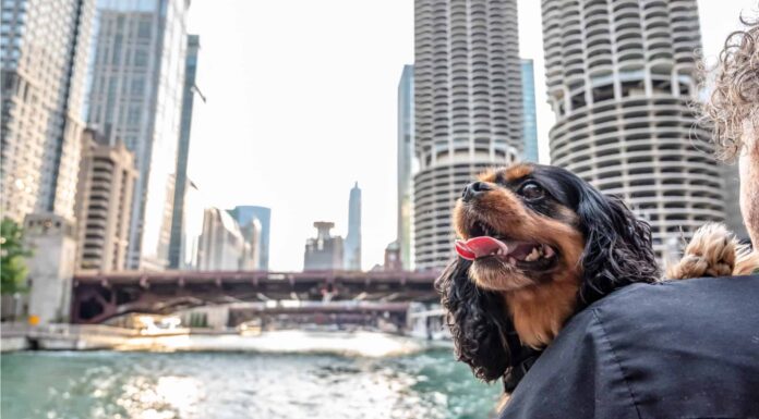 Perché Chicago è chiamata 