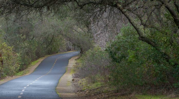 American River Bicycle Trail