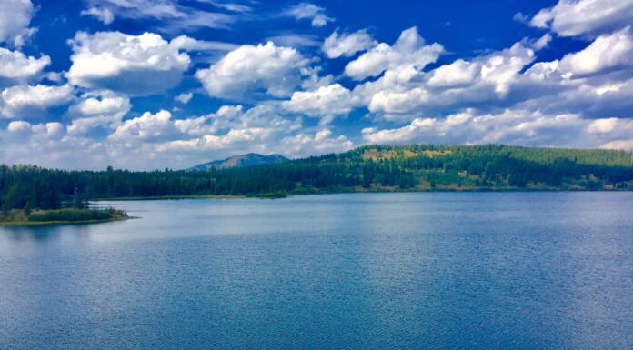Two Ocean Lake Wyoming