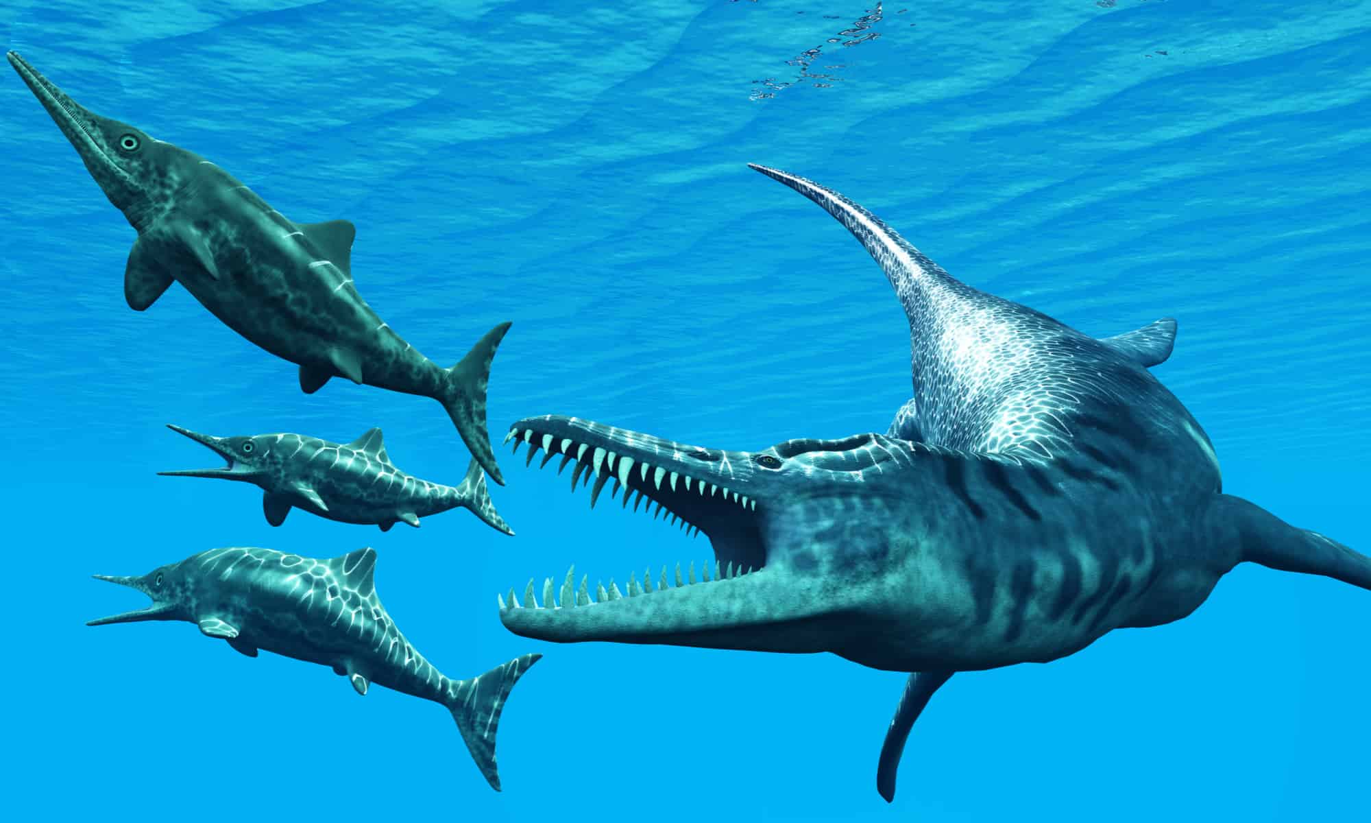 Liopleurodon vs Mosasaurus