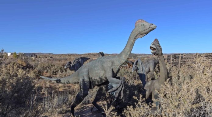 Blue Whale vs dinosauri: chi è più grande?
