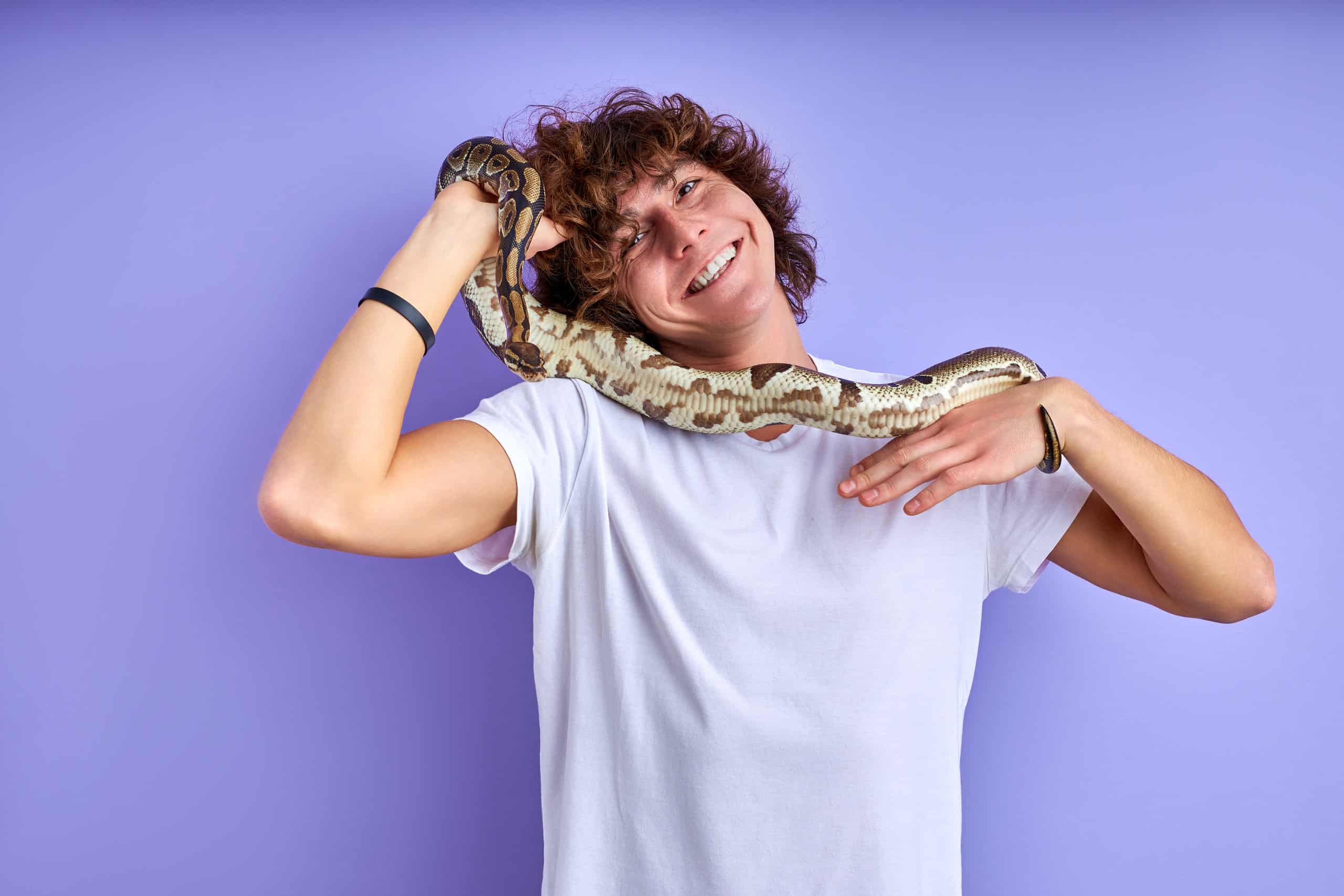 I serpenti sono buoni animali domestici, in realtà?