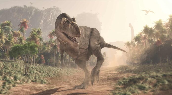 I 6 più grandi eventi di estinzione sulla Terra e quando si sono verificati
