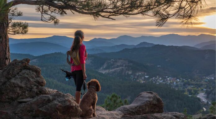9 migliori parchi per cani a Denver
