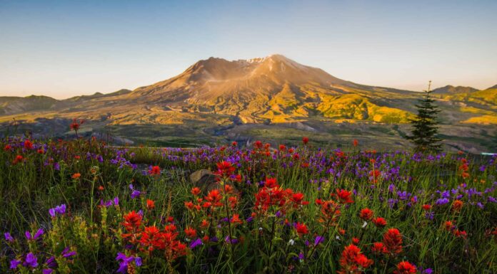 Vulcani nello Stato di Washington
