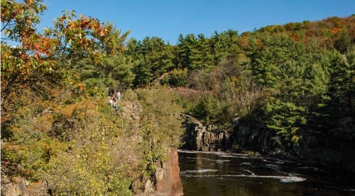 Scopri i 6 migliori parchi nazionali del Minnesota
