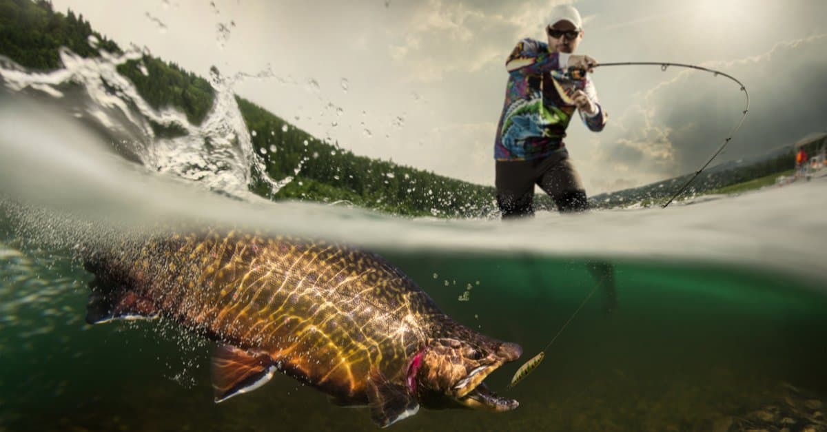 I 10 migliori pesci da catturare in Arizona quest'estate