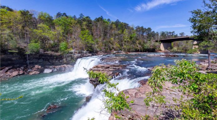  Cos'è un fiume?  Quello che devi sapere
