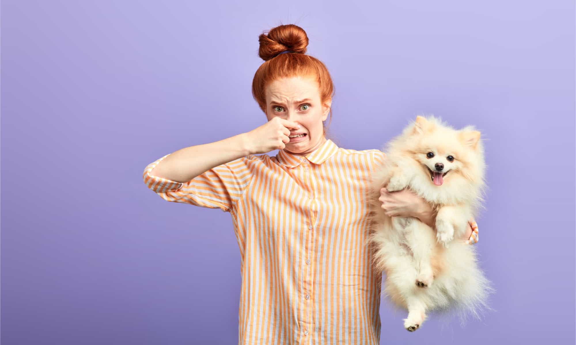 Questo è il motivo per cui i cani rotolano nella cacca (e altre cose puzzolenti)