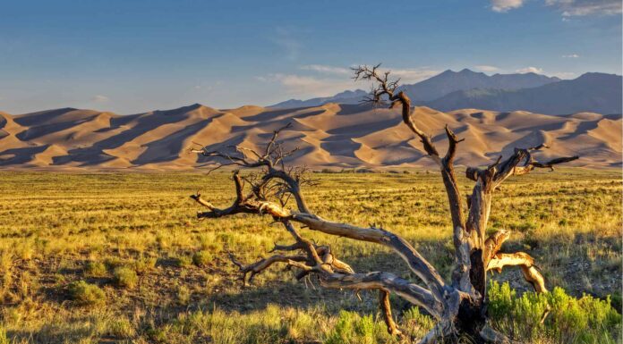 Great Sand Dunes National Park and Preserve