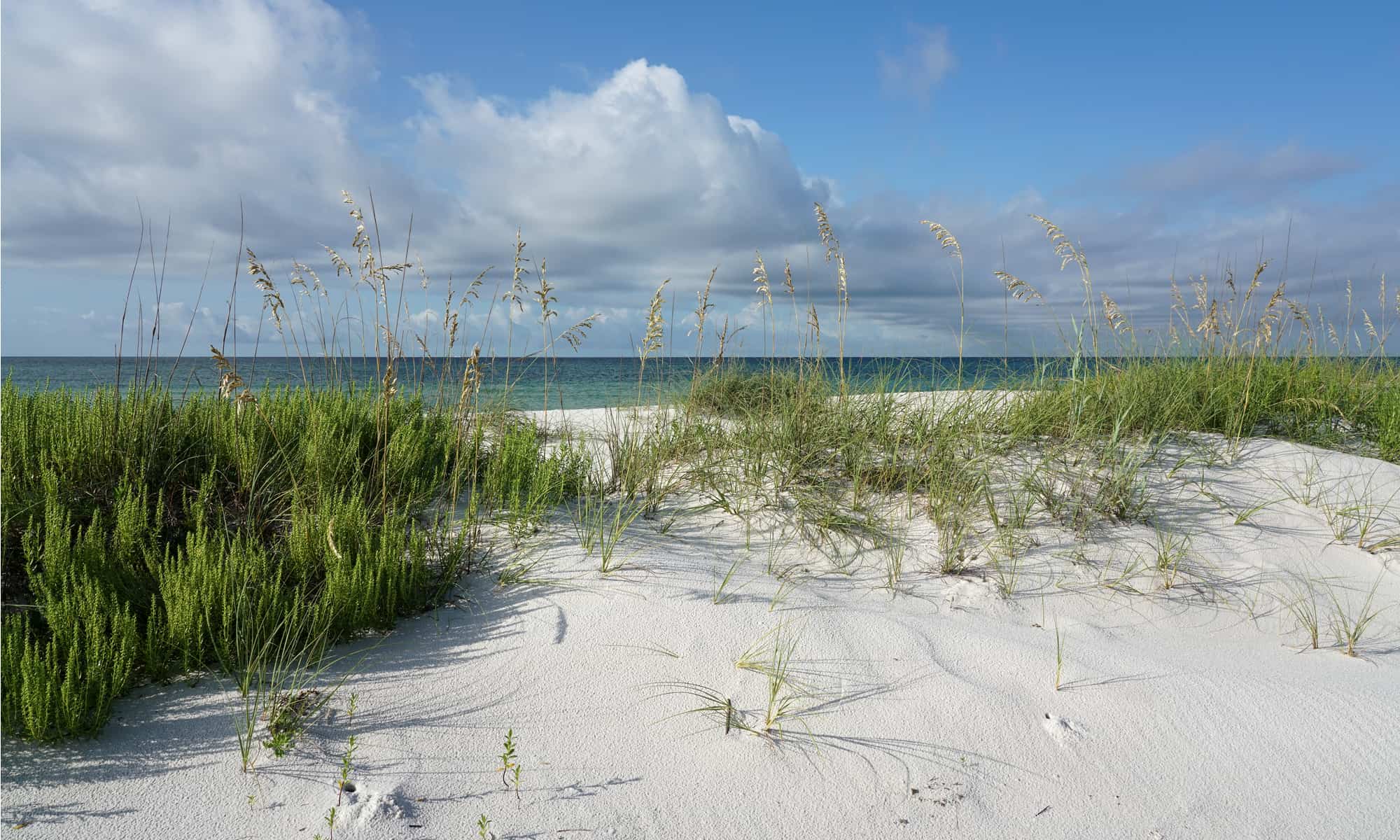 Everglades National Park