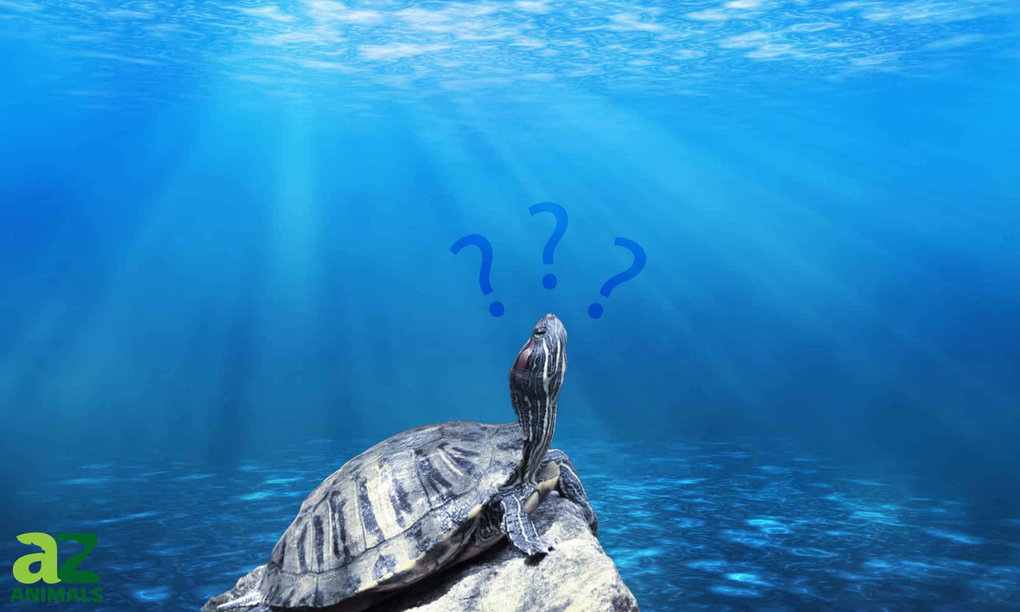 Quanto è profondo il fiume Mississippi?