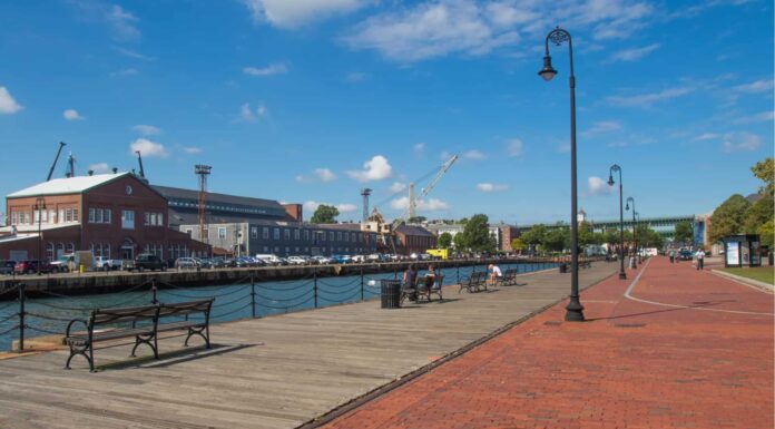 5 migliori parchi per cani a Boston
