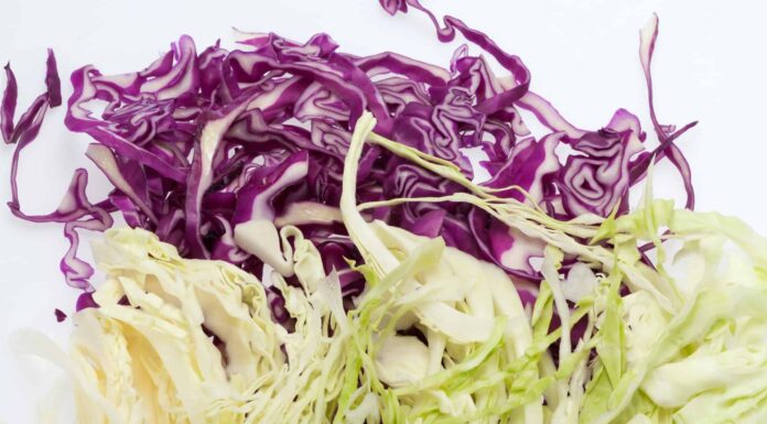 Red Cabbage vs Green Cabbage