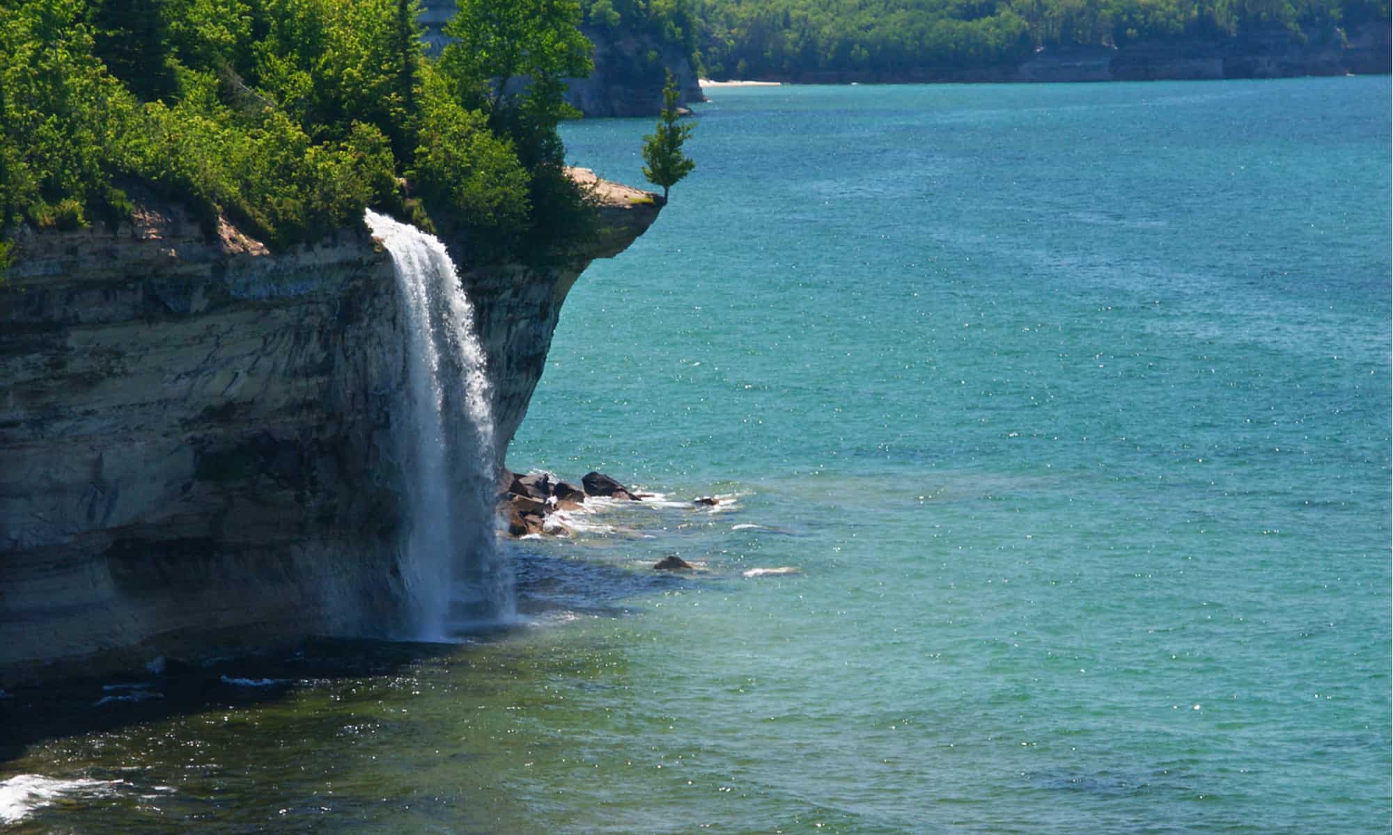 Cosa vive in fondo al Lago Superiore?