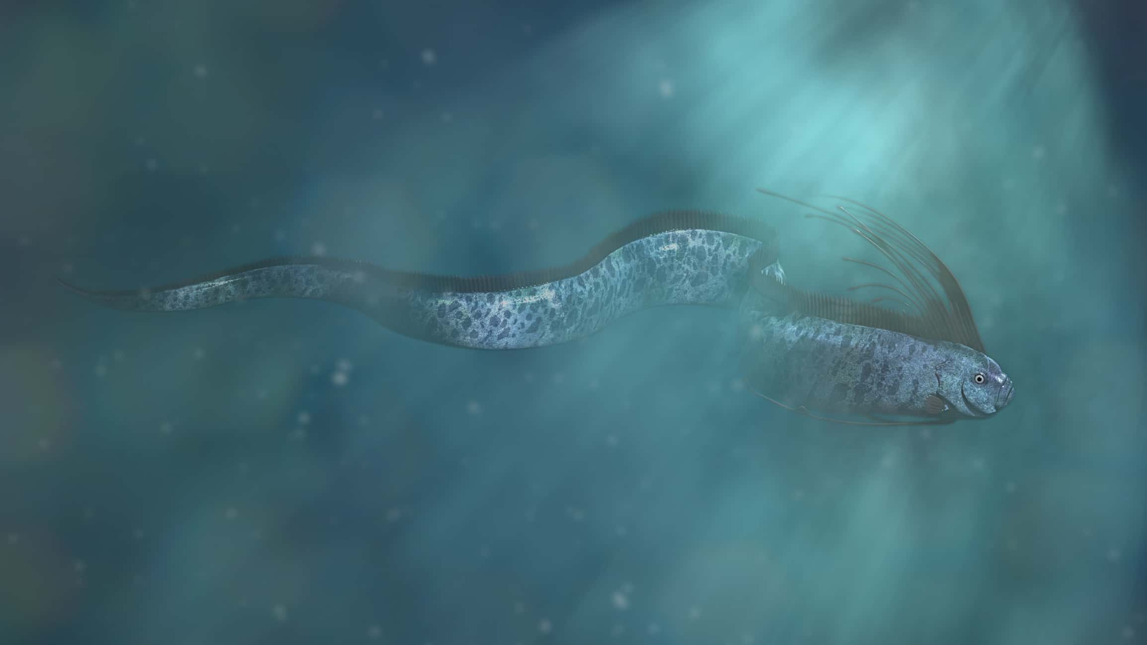 Guarda il terrificante pescatore cileno "Bad Omen" di 16 piedi tirato dall'oceano