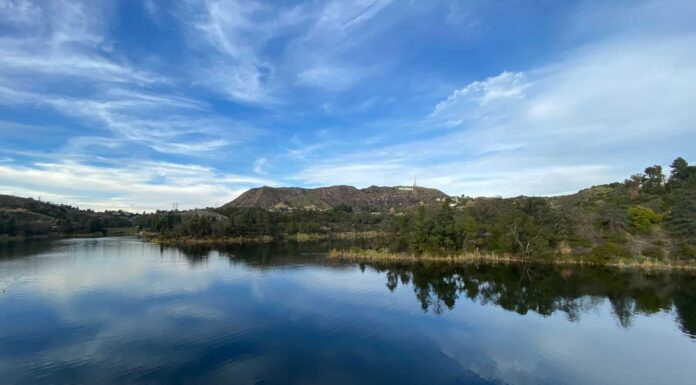I 6 migliori luoghi di pesca in California quest'estate
