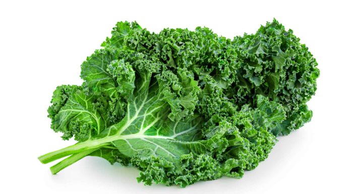  I cani possono mangiare il cavolo?  È salutare o tossico?
