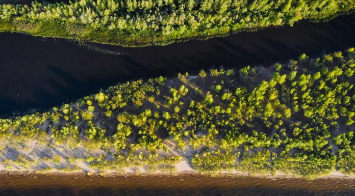 Il delta del fiume Mississippi sta morendo
