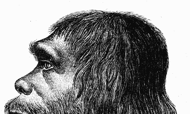 Neanderthal
