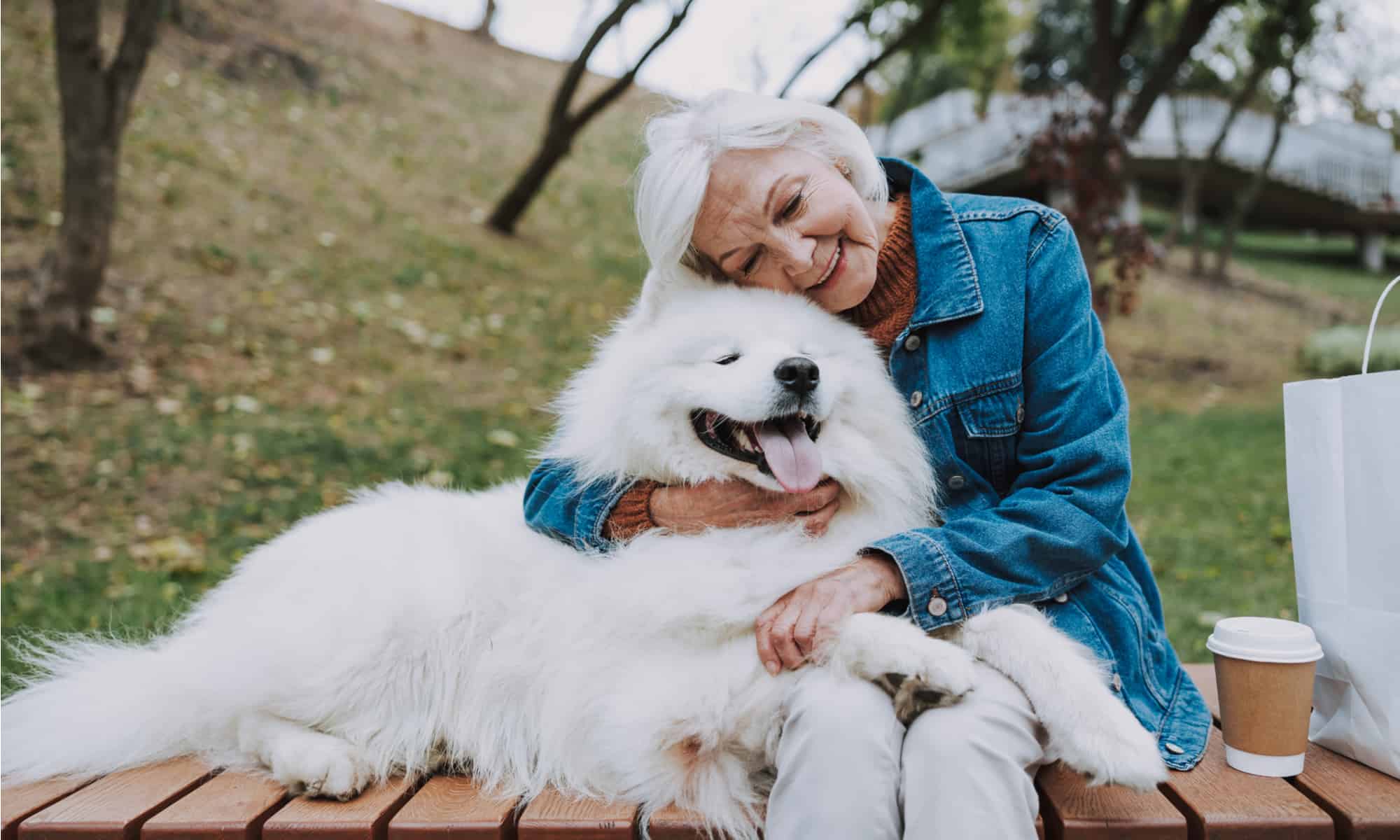Perché i cani sono così fedeli?  Sono l'animale domestico più fedele?