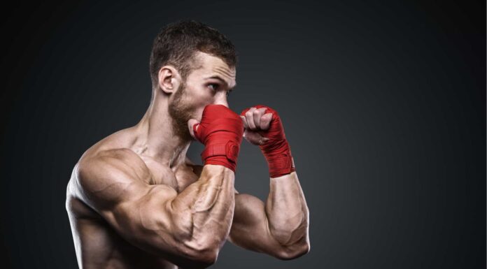 Qual è l'arteria più grande del corpo?
