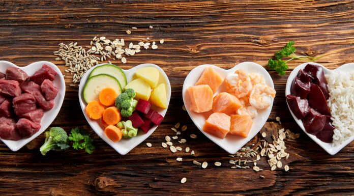 Quali alimenti possono mangiare i cani in modo sicuro e quali sono pericolosi?
