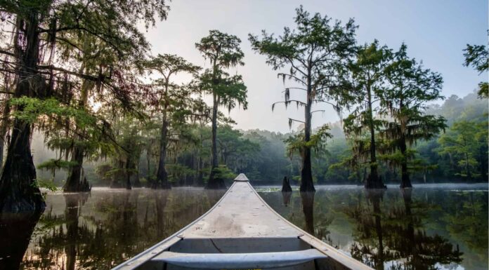 Caddo Lake