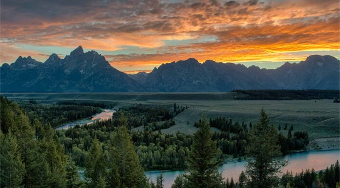 Quanto è profondo il fiume Snake?
