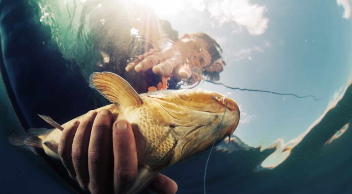 Questo ragazzo è il pescatore più fantasioso che tu abbia mai visto
