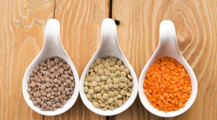 Le lenticchie sono sicure da mangiare per i cani?
