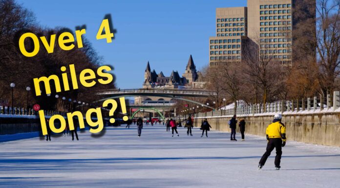 Scopri la pista di pattinaggio più grande del mondo
