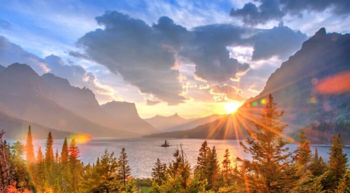 Dove trovare gli orsi grizzly al Glacier National Park
