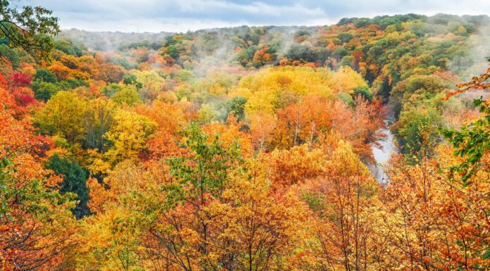 6 luoghi in cui il fogliame autunnale sta raggiungendo il picco in Ohio
