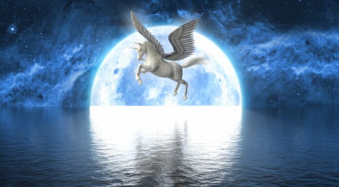 Simbolismo e significato degli animali dello spirito dell'unicorno
