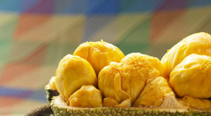 Cempedak vs Jackfruit: differenze chiave
