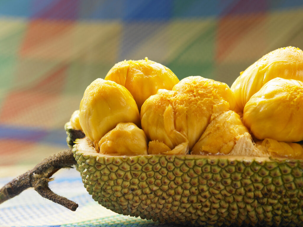 Cempedak vs Jackfruit: differenze chiave