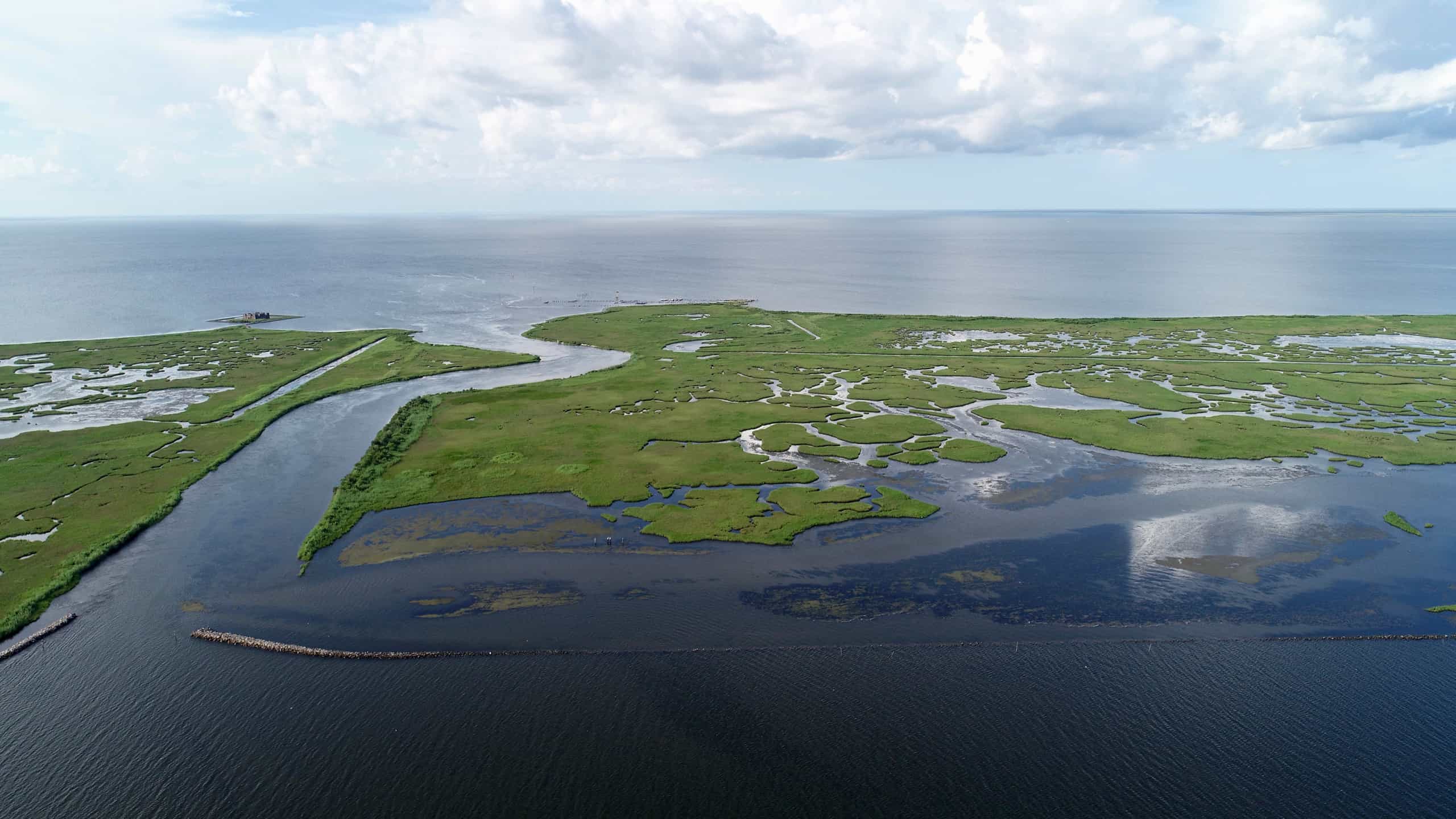 Scopri la "Jacuzzi of Despair" al largo della costa degli Stati Uniti che è fatale per la vita marina