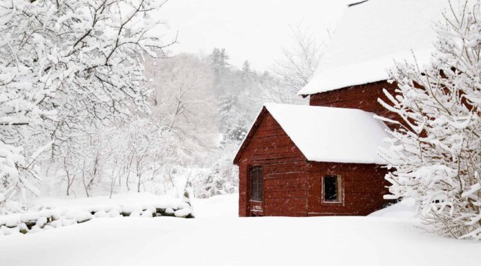 Prima neve nel Vermont: la prima e l'ultima prima neve mai registrata
