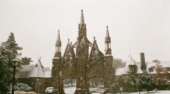 Snowfall in Brooklyn, NY