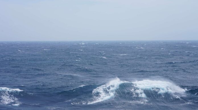 Qual è il ciclo dell'acqua?
