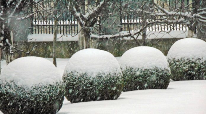 Prima neve nel North Dakota: la prima e l'ultima prima neve mai registrata

