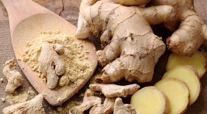 Zenzero e radice di zenzero: qual è la differenza?
