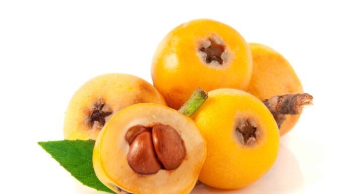 Loquat vs Albicocca: quali sono le differenze?
